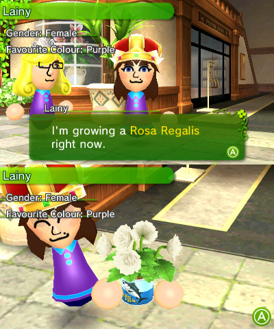 A Mii named Lainy showing the player what they’re growing in StreetPass Garden. Above: She says “I’m growing a Rosa Regalis right now.” Below: She shows the camera the plant.